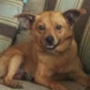 Meet your Posher, Linsey